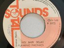 FLAMING PHONICS - HEY BABY DELAY - TOTAL SOUNDS ( ROOTS 7 )