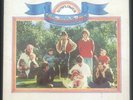 THE BEACH BOYS Sunflower Album LP 1970 Reprise RS-6382 1st Press - EX+ Vinyl
