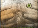 Type O Negative ?– The Origin Of The Feces (Not Live At Brighton Beach), Vinyl