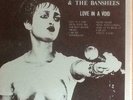 SIOUXSIE AND THE BANSHEES-LOVE IN A VOID LP