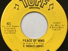 E. RODNEY JONES Peace of Mind NORTHERN SOUL 45 *hear*