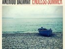 AMERIGO GAZAWAY Endless Summer LP NEW VINYL