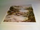Bon Iner, Bon Iver LP, Re-Released Vinyl Record