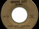 northern soul 45 THE PROFESSIONALS That's Why I Love You GROOVE CITY   hear
