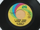 DRUIDS OF STONEHENGE Garden Where Nothing Grows 45 Garage Punk HEAR