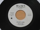 RAVEN Calamity Jane/Now She’s Gone 45 RARE Psych Garage Mod Soul Dancer HEAR