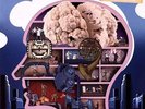 Squeeze - The Knowledge NEW LP