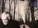 SANCTUARY - Into The Mirror Black - Vinyl (180 gram audiophile vinyl LP)