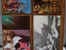Sonic Youth Sister L.P. SST134 w/Insert