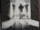 Neil Young 