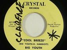 Big Youth 