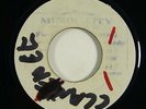 Viceroys/Zoot Simms 