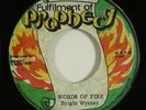 Bright Wynter 