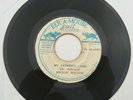RIPTON HYLTON - MY FATHER'S LAND // LAND - A - DUB [ EEK-A-MOUSE  7