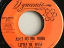 LITTLE JR. JESSE-Ain’t No Big Thing 45 San Antonio Texas Rare Soul
