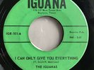 THE IGUANAS- I Can Only Give You Everything 45 Rare 1966 TEXAS Garage Psych