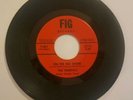 THE TERRIFICS 'On The Sea Shore/Lover's Plea' FIG Rare Ashland,KY GARAGE 45