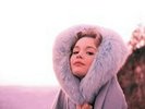 Matthew Sweet - Girlfriend [LP] (180 Gram) 2017 Vinyl/ Sealed