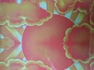 Complete Acid Dreams 3x LP Set Feed The Mind 1960s US acid punk compilation LTD