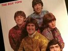 THE BOX TOPS Greatest Hits (Vinyl LP, Rhino 161) NEAR MINT
