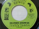 IRATION STEPPAS feat TENA STELIN,JUNGLE JUNGLE + DUB 7