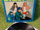 SAM THE SHAM & PHARAOHS WOOLY BULLY 1965 •true 1st press• MONO garage psych