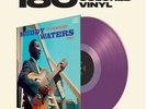 Muddy Waters - Muddy Waters at Newport 1960