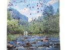 MARK & BONNIE BRANCIAROLI WANDERING IN THE WOODS 1979 LP RARE PRIVATE FOLK PSYCH