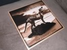 RUSSELL MORRIS VINYL ALBUM  VAN DEIMENS LAND NEW SEALED