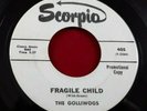 The Golliwogs (Pre CCR) 