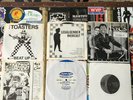 The Toasters Beat Brigade Legal Gender Scofflaws Fiascos Moon Ska RARE 7
