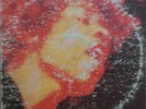 The Jimi Hendrix Experience Electric Ladyland 1968 Vinyl LP Reprise 2RS 6307