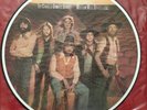 CHARLIE DANIELS BAND   RARE PICTURE DISC LP   MILLION MILE REFLECTIONS   DEVIL
