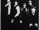 FLAMIN' GROOVIES Now SIRE SRK 6059 LP SEALED #