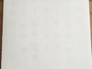 Spiritualized And Nothing Hurt Limited LP Test Pressing White Label