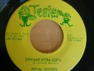 45 - RARE SAN ANTONIO TEXAS LATIN, THE ROYAL JESTERS, JESTER 107, SHINY E- COPY