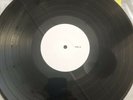 rare IWRESTLEDABEARONCE Ruining It For Everybody LP Test Press