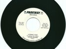 NORTHERN SOUL - VICKIE  BAINES  - LOSING  YOU  -  PARKWAY  RECORDS