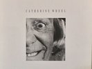 CATHERINE WHEEL BLACK METALLIC 12