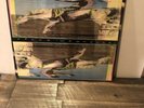 WIDESPREAD PANIC   SPACE WRANGLER ORIGINAL 1988 VINYL LANDSLIDE RECORDS LD-1016