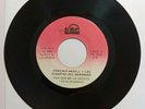 Porfirio Morell Y Los Gigantes del Merengue Mi Carrito  LAG 2035 VG+ 45#197