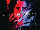 SHE PAST AWAY-DISKO ANKSIYETE (COLV) (LTD) (RED) (US IMPORT) VINYL LP NEW