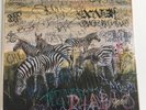 Freddie Gibbs And Madlib Bandana SPECIAL Rappcats Edition Sealed