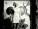 SOL SEPPY - The Bells Of 1 2 (Record Store Day 2019) - Vinyl (LP)