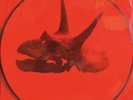 Alice In Chains ?The Devil Put Dinosaurs Here Picture Disc Vinyl OOP Rare Grunge