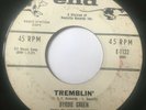 Northern Soul Promo 45/ Byrdie Green 