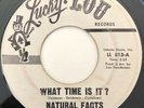 * NATURAL FACTS What Time Is It / Girl Don't Cry GARAGE NORTHERN SOUL nj 45 HEAR