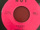 Larry Hall Sandy b/w Lovin' Tree  Hot Label 45
