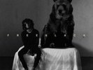 6LACK: FREE 6LACK (LP vinyl *BRAND NEW*.)