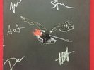 THE AIRBORNE TOXIC EVENT   RARE 3 LP COLLECTORS LIMITED ED. OF 1000 AUTOGRAPHED